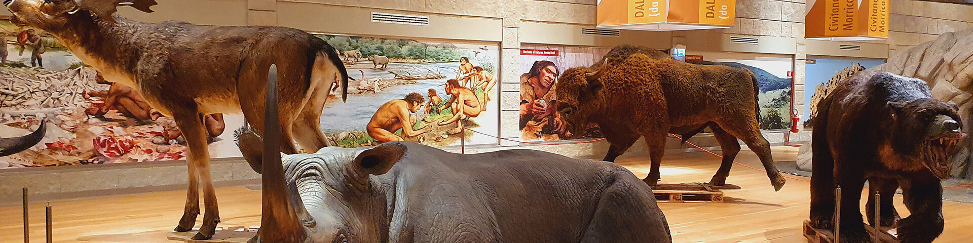 Le realizzazioni per il settore museale Bat-Tech